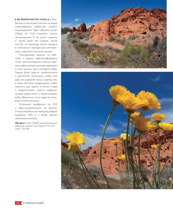 Брайан Петерсон - В поисках кадра - Страница № 34