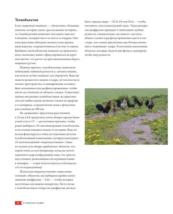 Брайан Петерсон - В поисках кадра - Страница № 40
