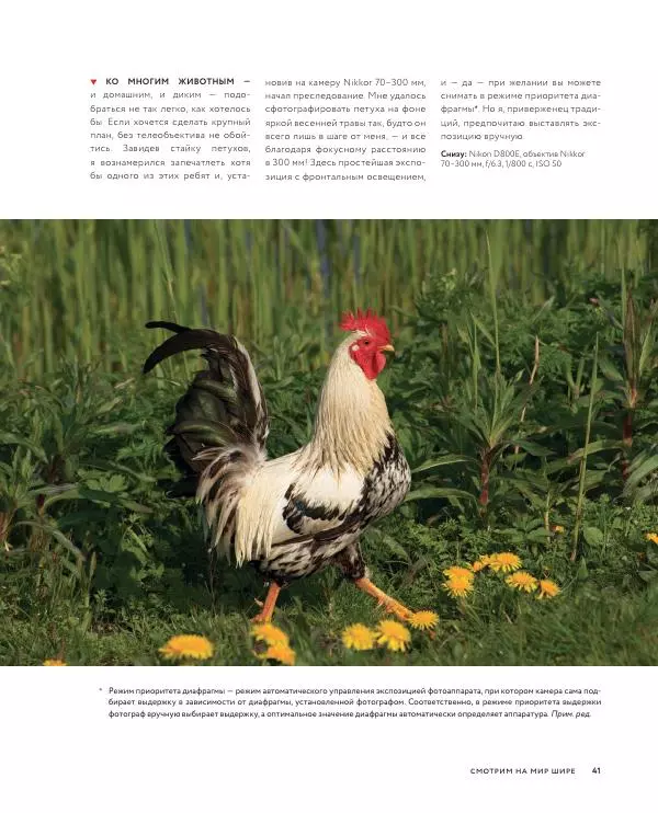 Брайан Петерсон - В поисках кадра - Страница № 41