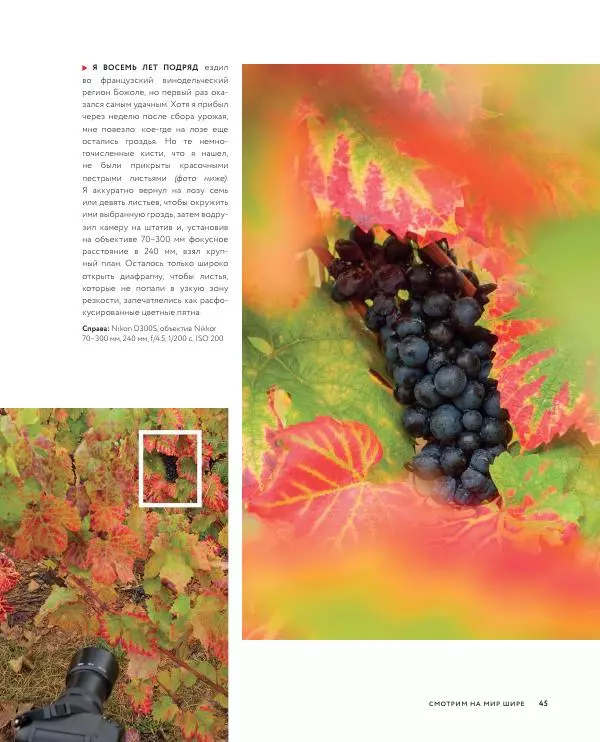 Брайан Петерсон - В поисках кадра - Страница № 45