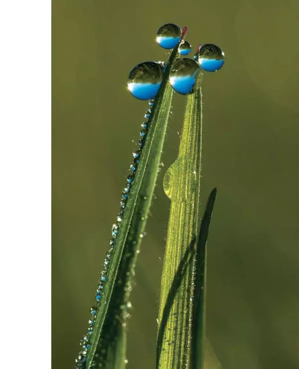 Брайан Петерсон - В поисках кадра - Страница № 49