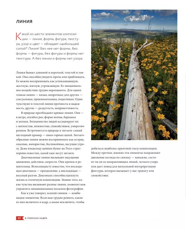 Брайан Петерсон - В поисках кадра - Страница № 60