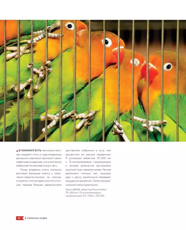Брайан Петерсон - В поисках кадра - Страница № 62