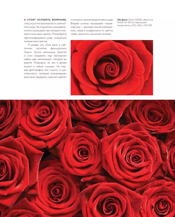 Брайан Петерсон - В поисках кадра - Страница № 81