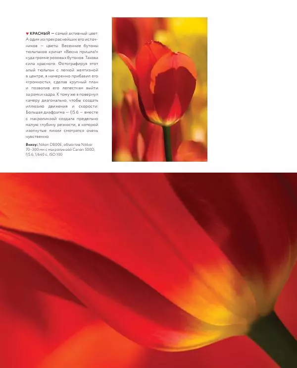 Брайан Петерсон - В поисках кадра - Страница № 92