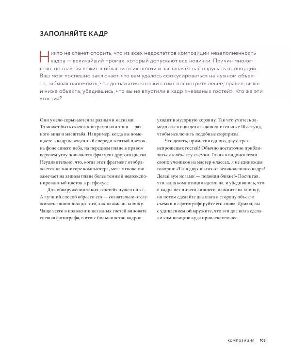 Брайан Петерсон - В поисках кадра - Страница № 103