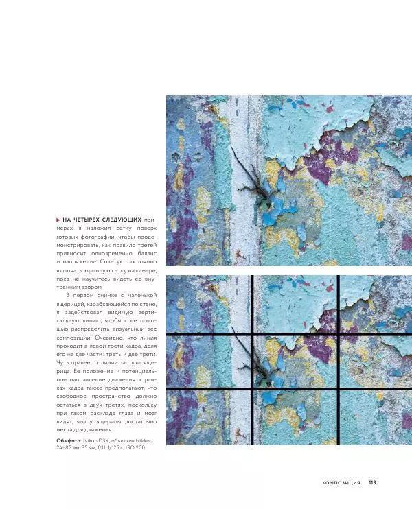 Брайан Петерсон - В поисках кадра - Страница № 113