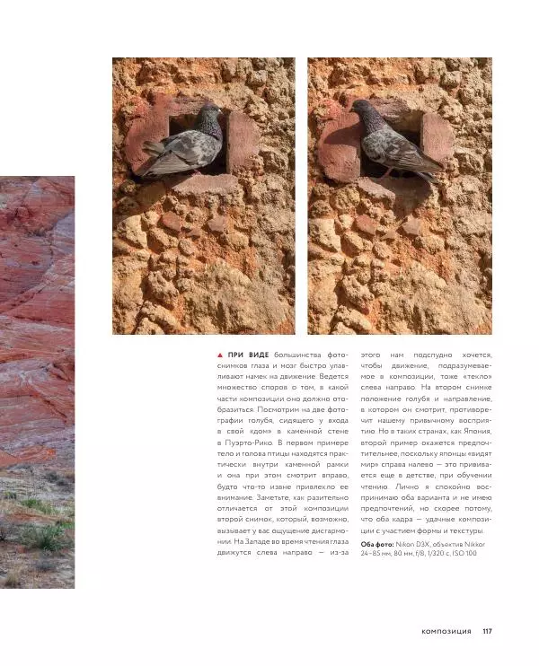Брайан Петерсон - В поисках кадра - Страница № 117