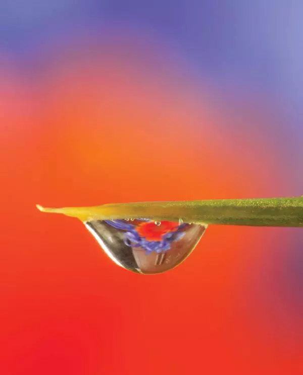 Брайан Петерсон - В поисках кадра - Страница № 130