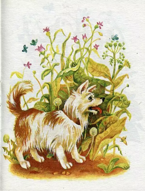 Нина Павлова - Чьи башмачки - Страница № 11