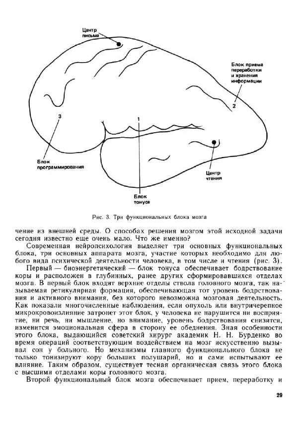 Олег Андреев - Учитесь быстро читать - Страница № 30