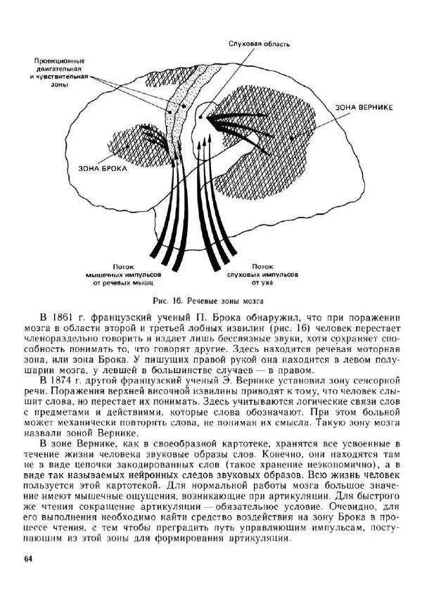 Олег Андреев - Учитесь быстро читать - Страница № 65