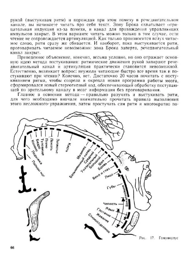 Олег Андреев - Учитесь быстро читать - Страница № 67