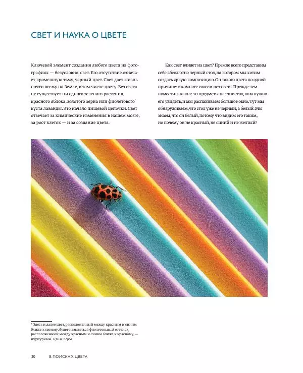 Брайан Петерсон - В поисках цвета - Страница № 20