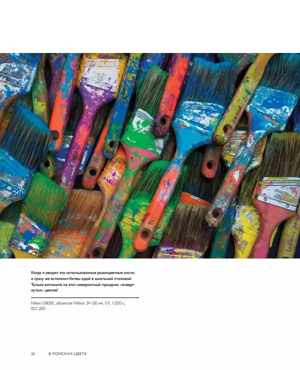 Брайан Петерсон - В поисках цвета - Страница № 22