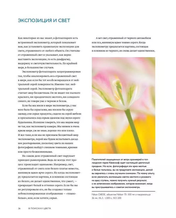 Брайан Петерсон - В поисках цвета - Страница № 26