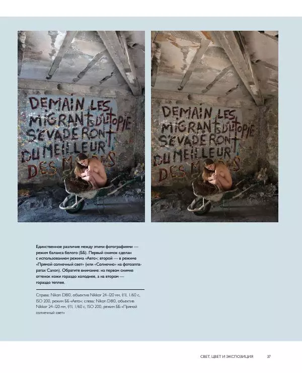 Брайан Петерсон - В поисках цвета - Страница № 37