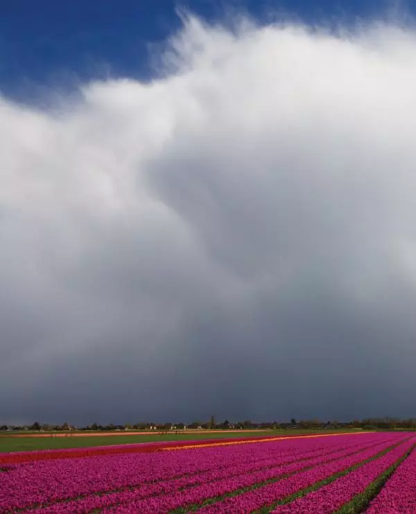 Брайан Петерсон - В поисках цвета - Страница № 38