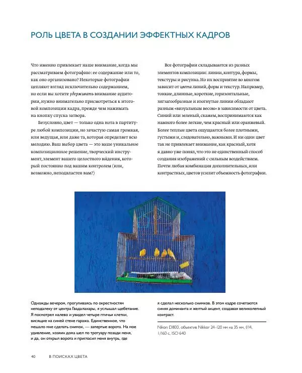 Брайан Петерсон - В поисках цвета - Страница № 40