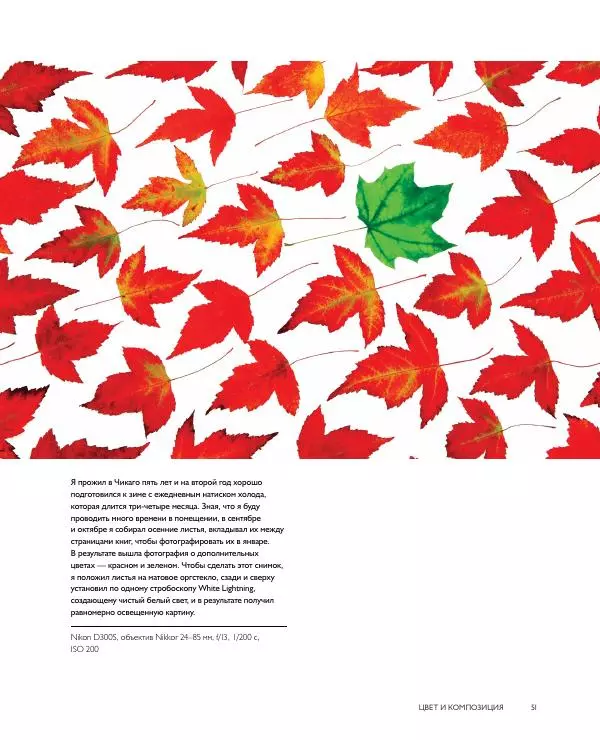 Брайан Петерсон - В поисках цвета - Страница № 51