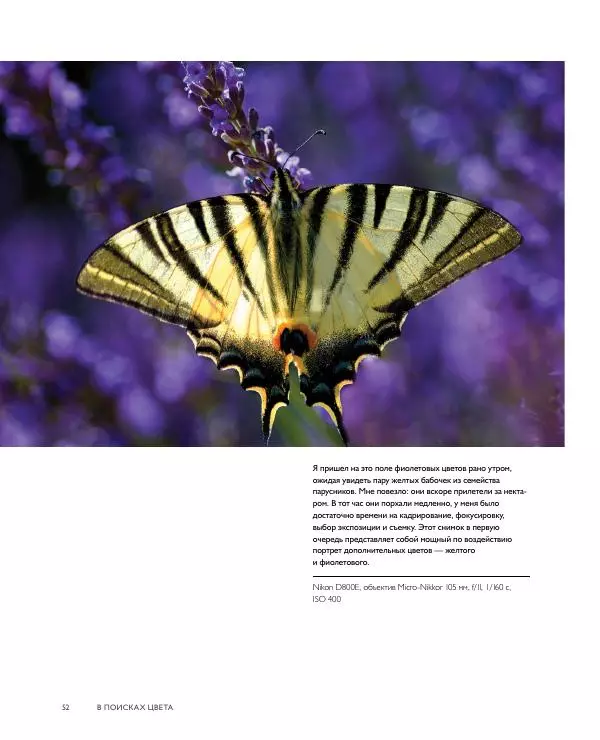 Брайан Петерсон - В поисках цвета - Страница № 52