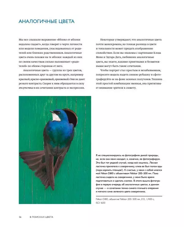 Брайан Петерсон - В поисках цвета - Страница № 56