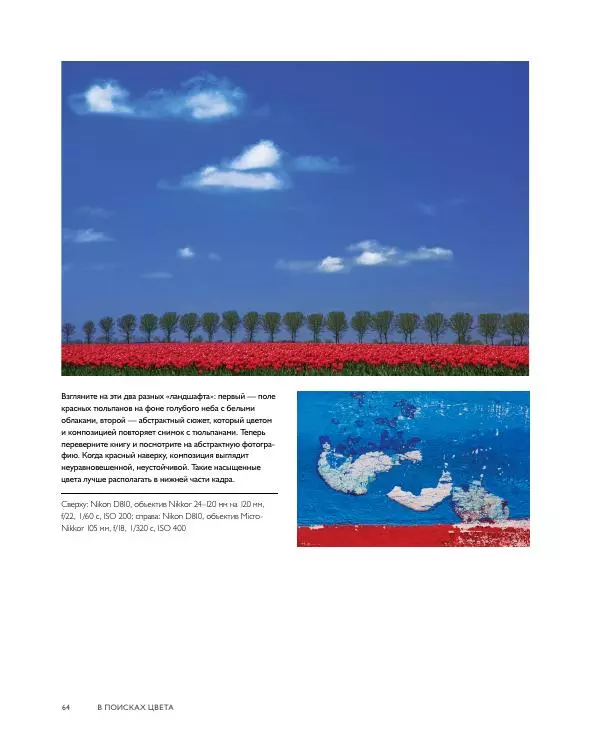 Брайан Петерсон - В поисках цвета - Страница № 64