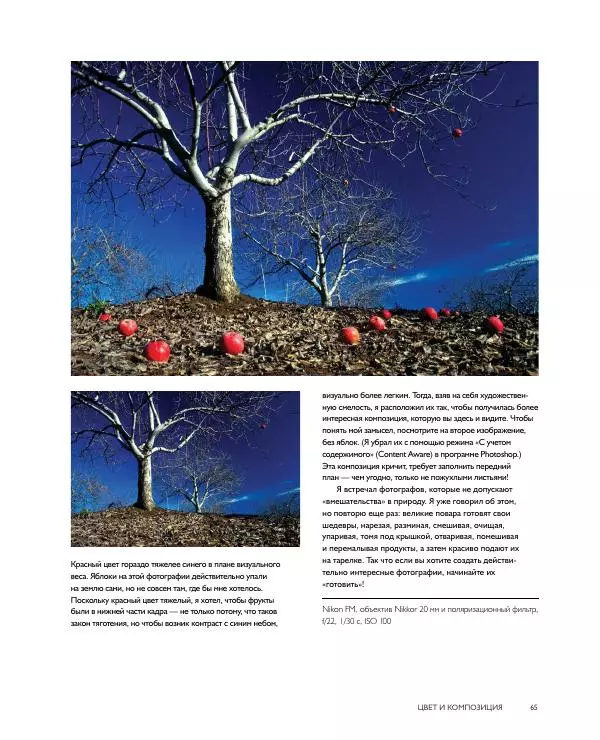 Брайан Петерсон - В поисках цвета - Страница № 65