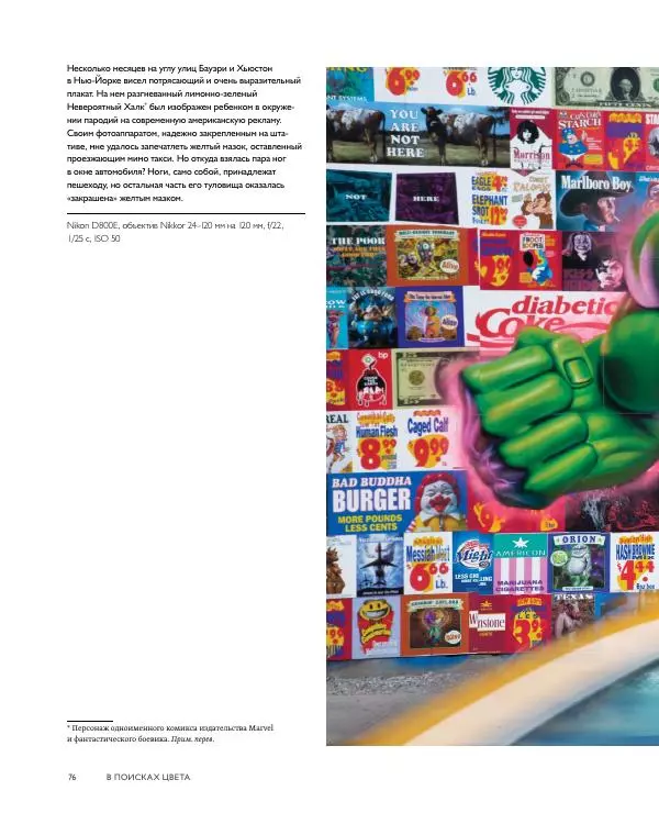 Брайан Петерсон - В поисках цвета - Страница № 76