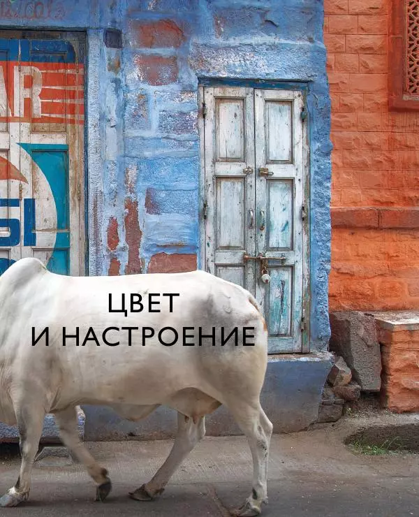 Брайан Петерсон - В поисках цвета - Страница № 81