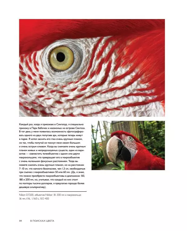Брайан Петерсон - В поисках цвета - Страница № 84