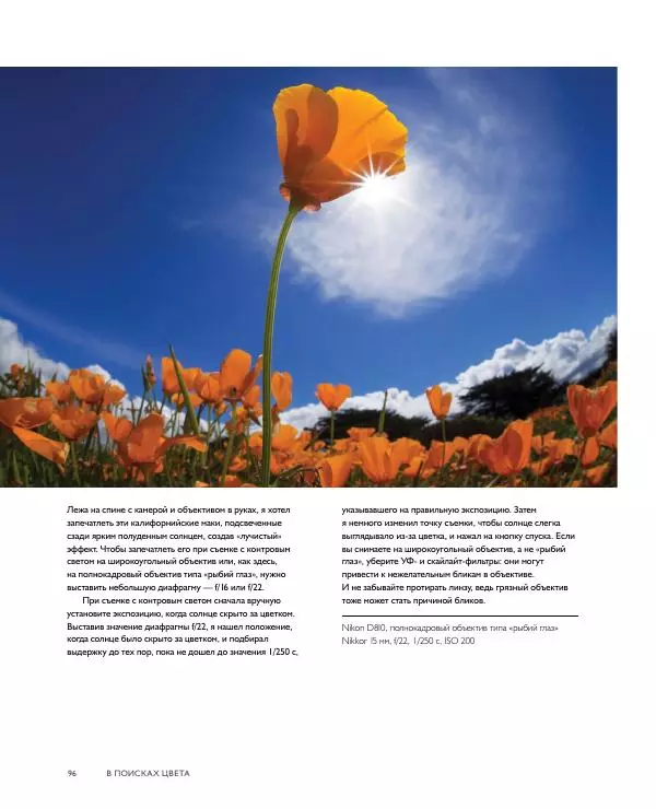 Брайан Петерсон - В поисках цвета - Страница № 96