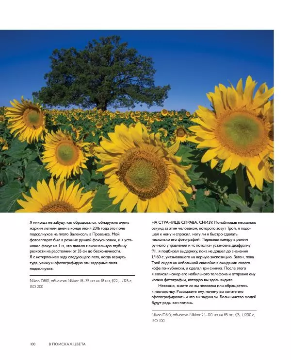 Брайан Петерсон - В поисках цвета - Страница № 100