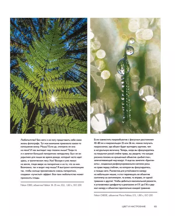 Брайан Петерсон - В поисках цвета - Страница № 105