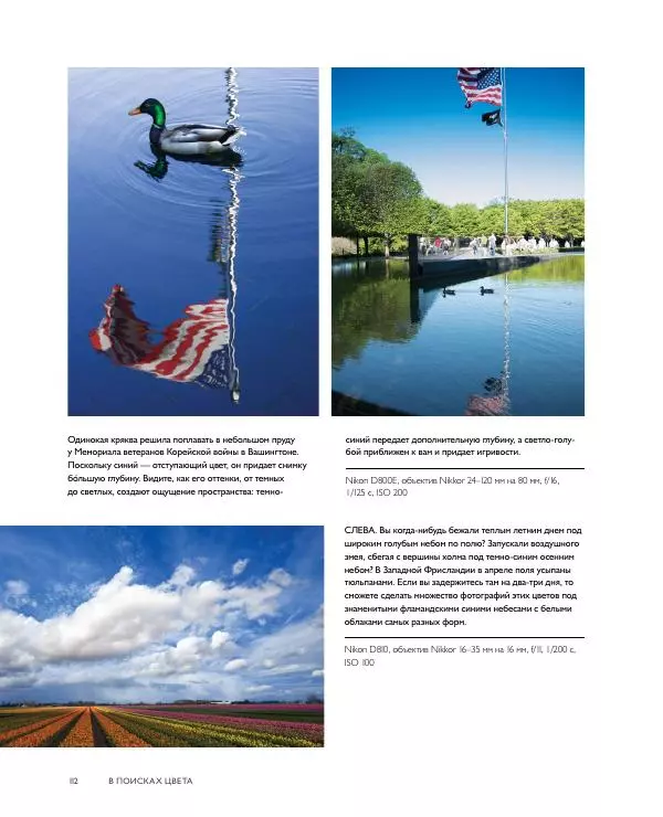 Брайан Петерсон - В поисках цвета - Страница № 112