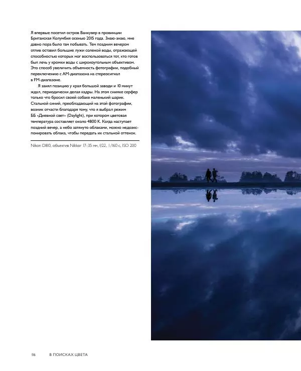 Брайан Петерсон - В поисках цвета - Страница № 116