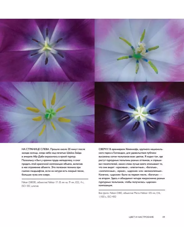 Брайан Петерсон - В поисках цвета - Страница № 119