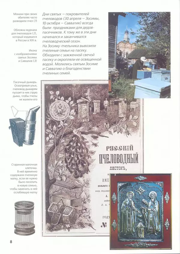 Ольга Короткова - Пчелы, шмели, осы - Страница № 10