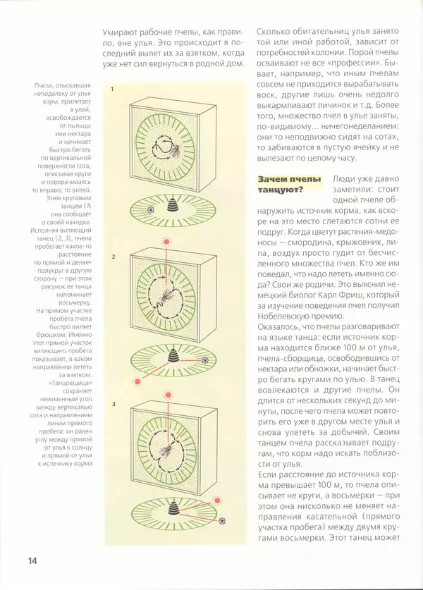 Ольга Короткова - Пчелы, шмели, осы - Страница № 16