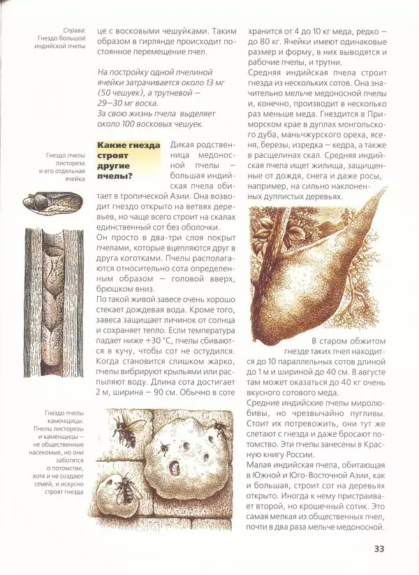 Ольга Короткова - Пчелы, шмели, осы - Страница № 37