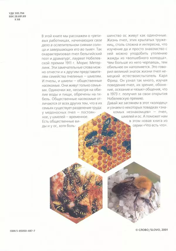 Ольга Короткова - Пчелы, шмели, осы - Страница № 4