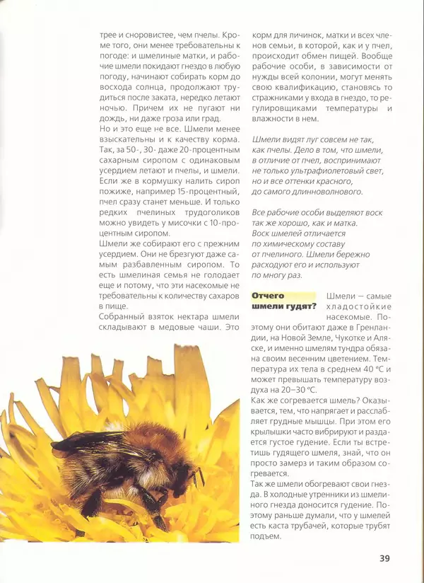 Ольга Короткова - Пчелы, шмели, осы - Страница № 43
