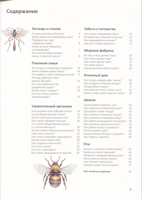 Ольга Короткова - Пчелы, шмели, осы - Страница № 5