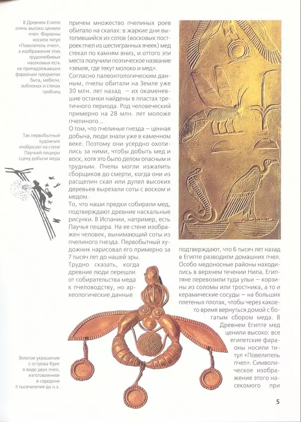 Ольга Короткова - Пчелы, шмели, осы - Страница № 7