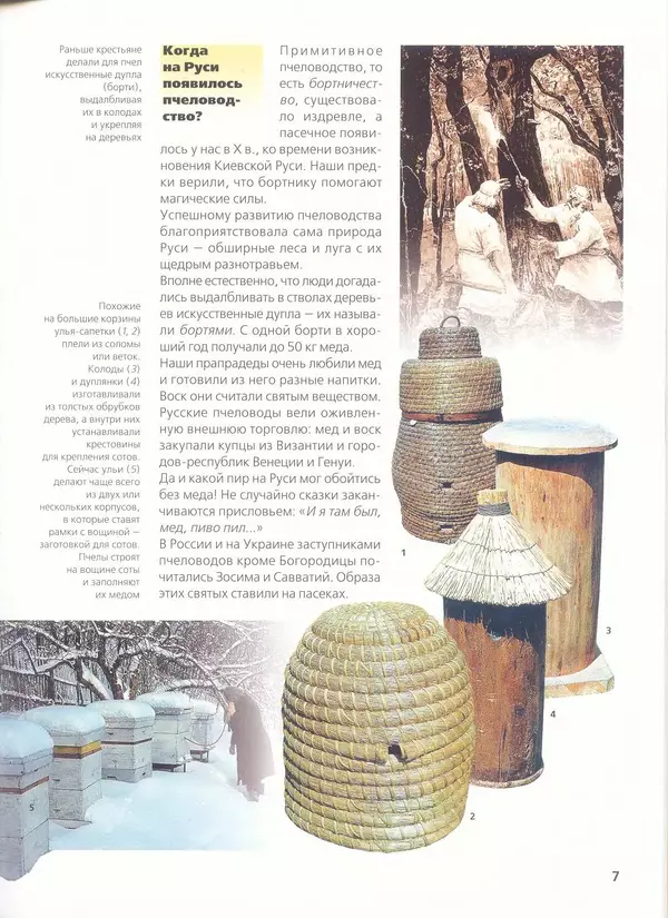 Ольга Короткова - Пчелы, шмели, осы - Страница № 9