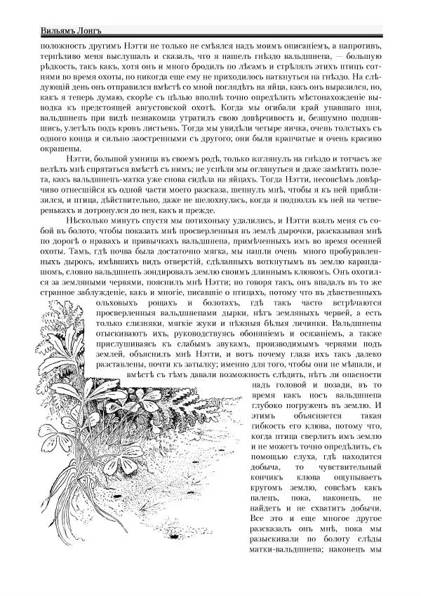 Вильямъ Логъ - Младший братецъ медведя - Страница № 32