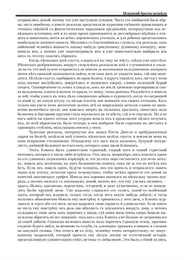 Вильямъ Логъ - Младший братецъ медведя - Страница № 33