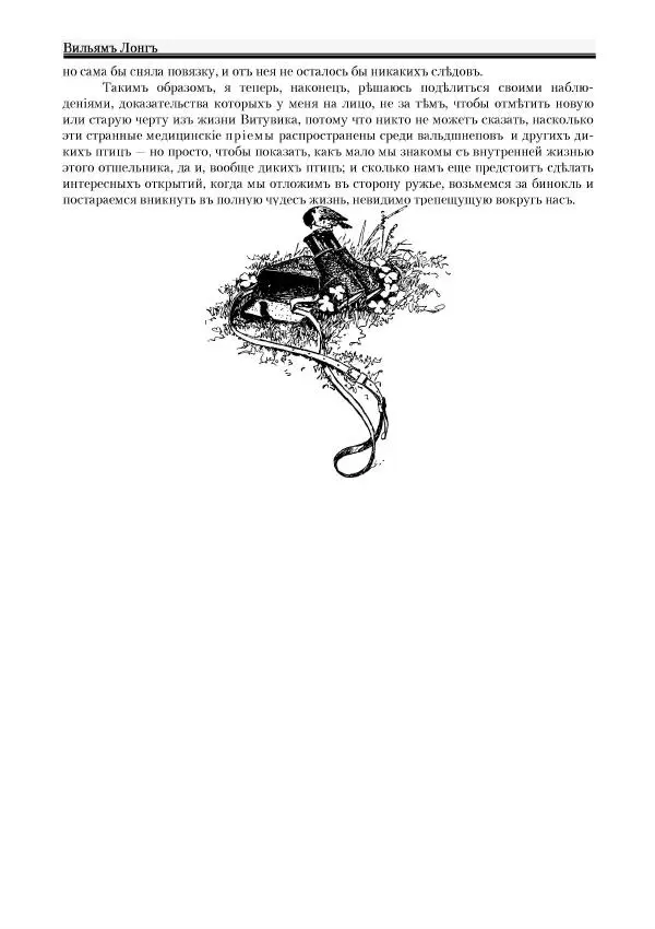 Вильямъ Логъ - Младший братецъ медведя - Страница № 46