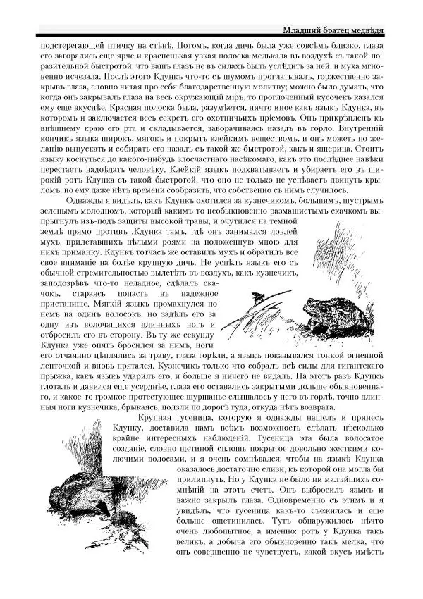 Вильямъ Логъ - Младший братецъ медведя - Страница № 59