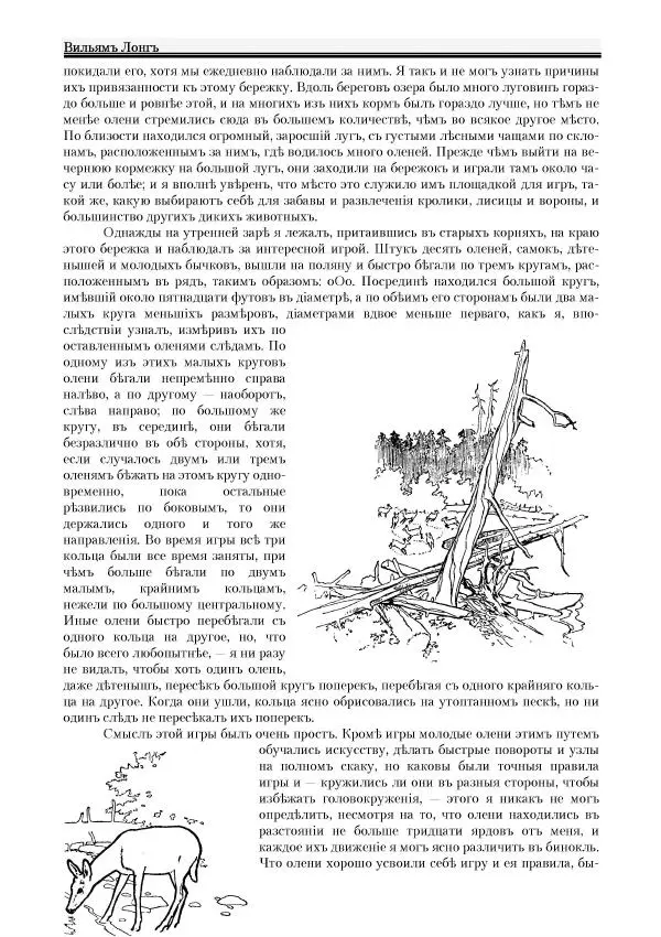 Вильямъ Логъ - Младший братецъ медведя - Страница № 100